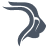 Nikrun Logo
